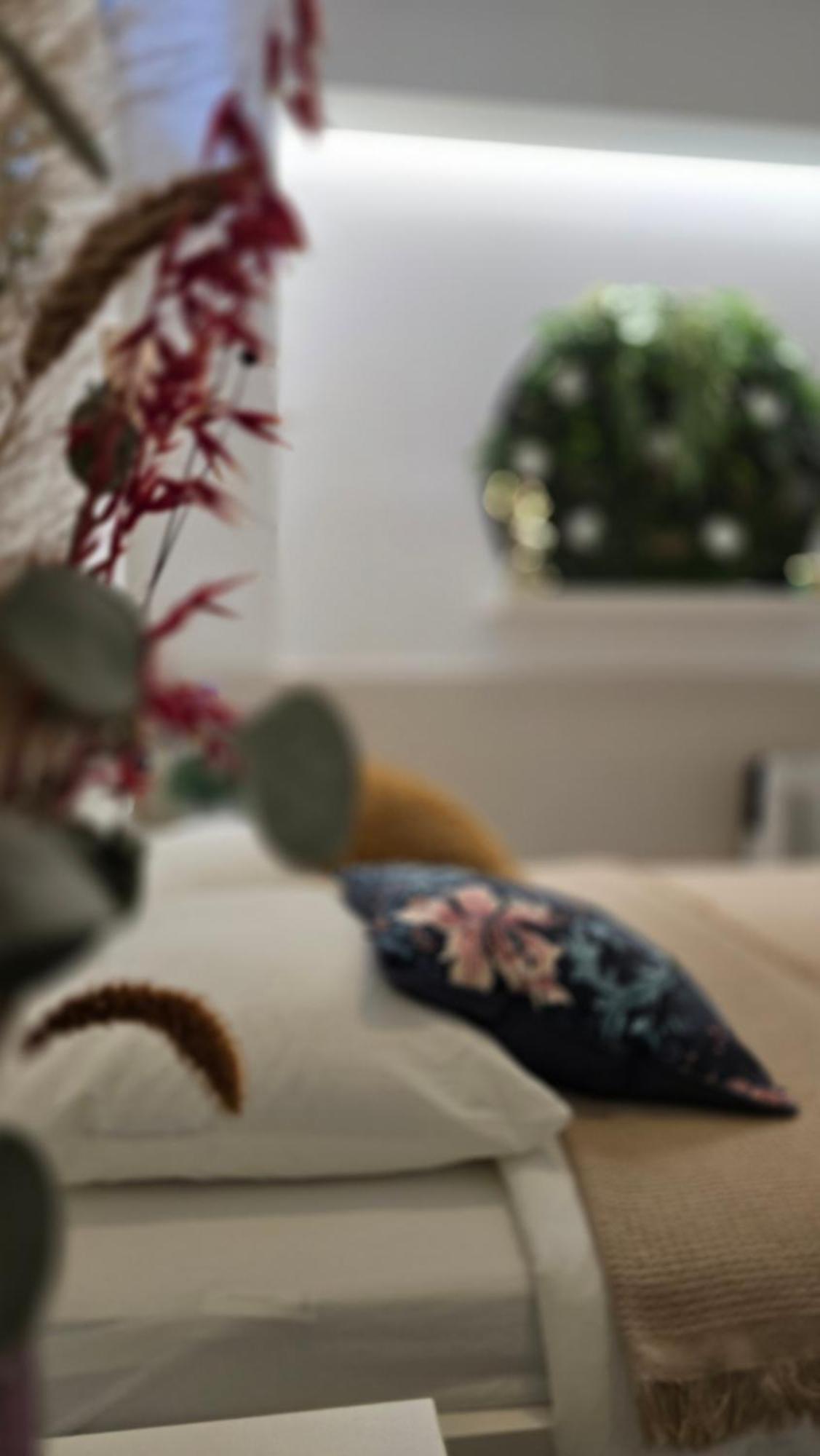 Las Artes Hlius Luxury Apartments 瓦伦西亚 外观 照片